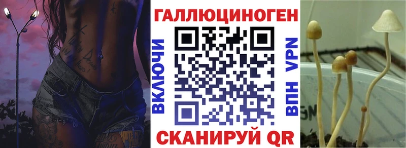 MEGA ссылка  Новоуральск  нарко площадка наркотические препараты  Галлюциногенные грибы Magic Shrooms 