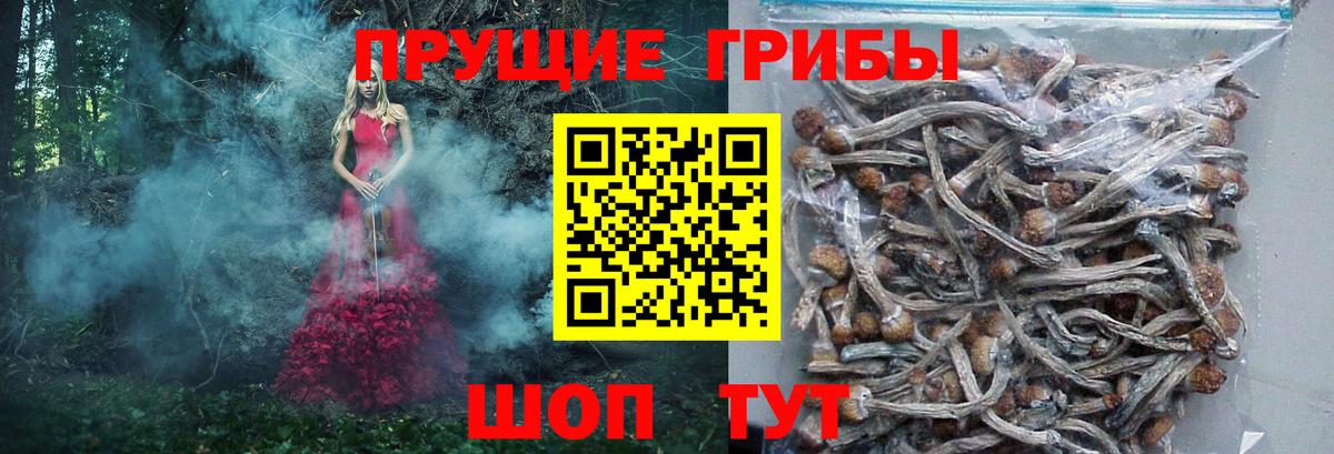 Новоуральск  Псилоцибиновые грибы мухоморы  Вход с VPN 