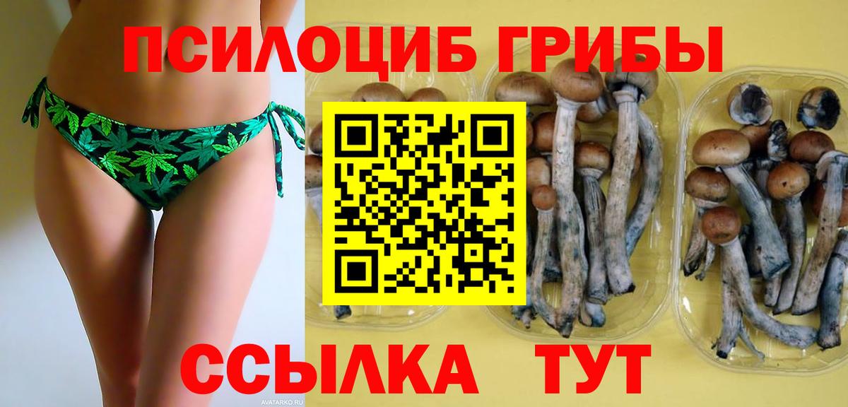 Псилоцибиновые грибы мухоморы Новоуральск
